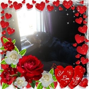 Meet your Posher, Penny